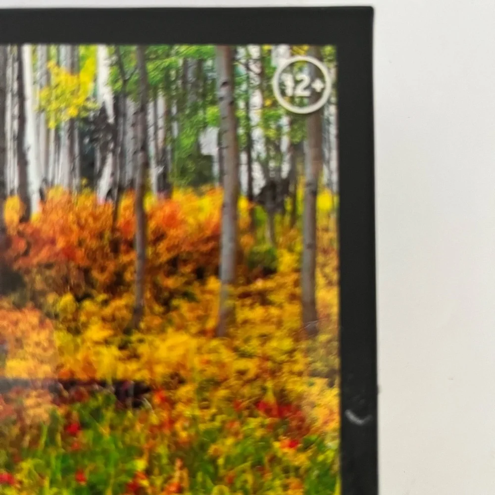 Vibrant Jigsaw Puzzle Mega Puzzlers‎ 1000 Piece Aspens, Autumn Colors 03 - New